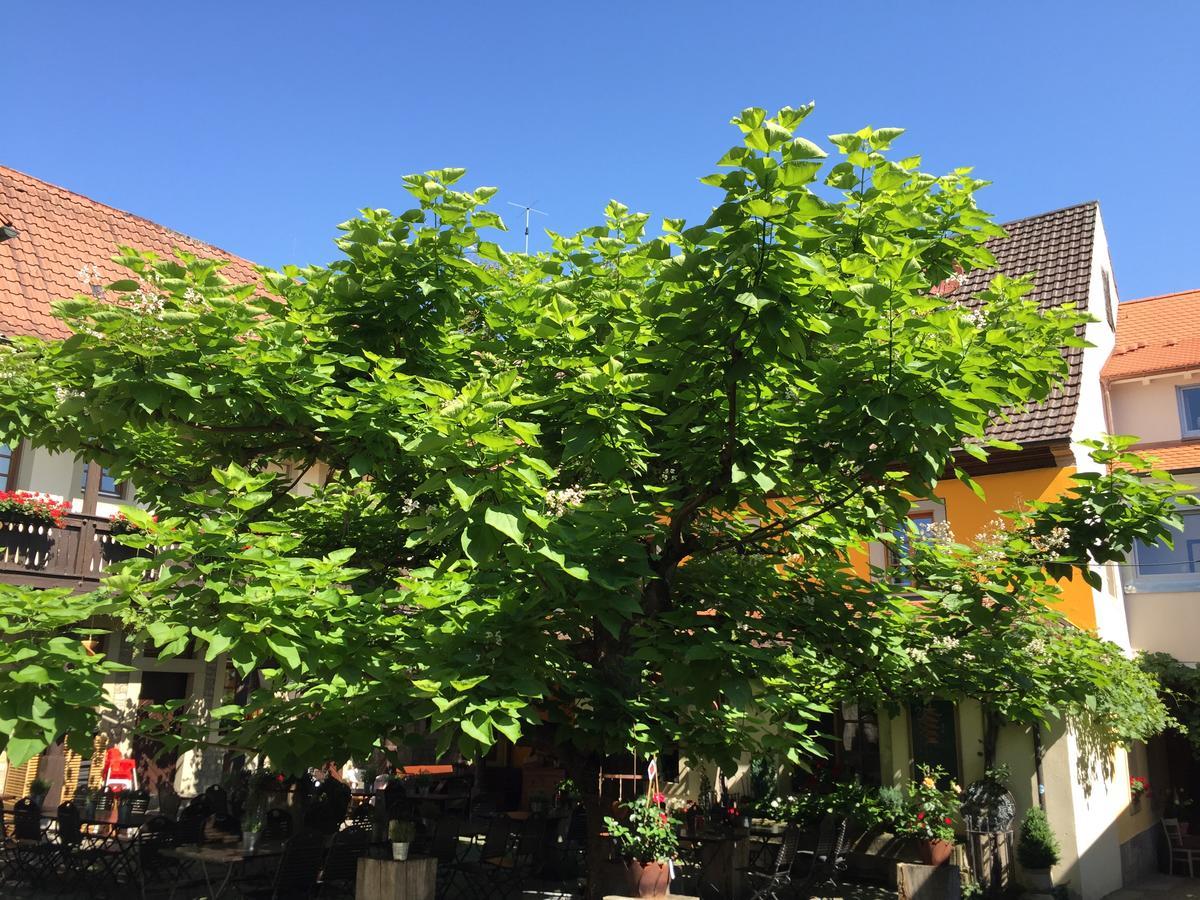 Gasthof Zum Storch Prichsenstadt Zewnętrze zdjęcie